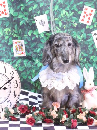 20250406おとくん